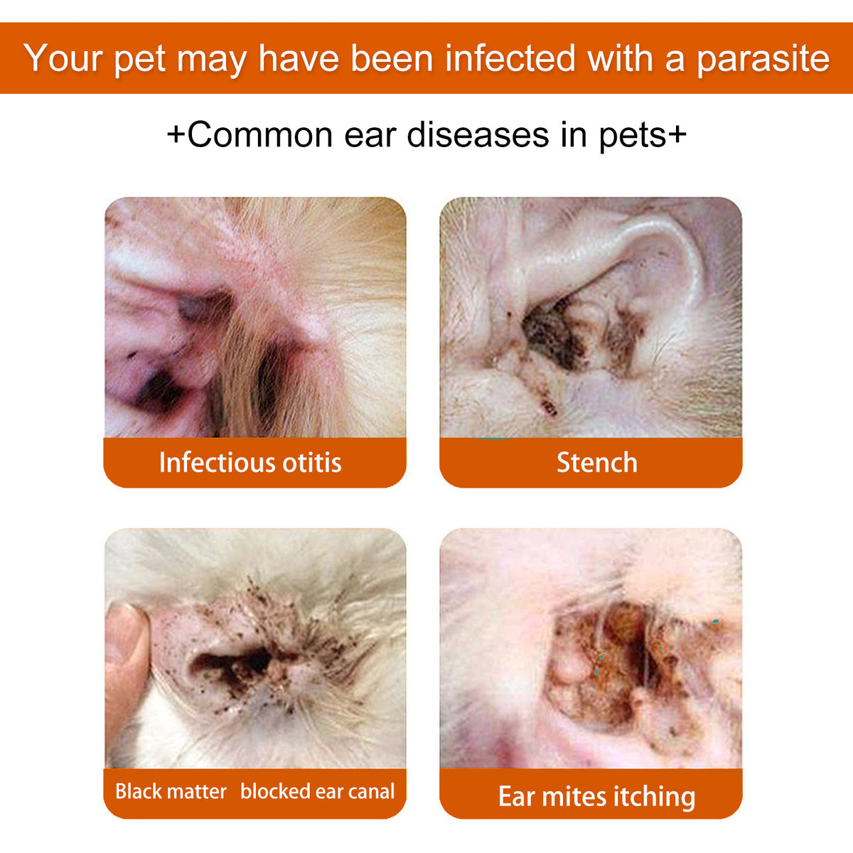 Gentle Pet Cleaning Wipes