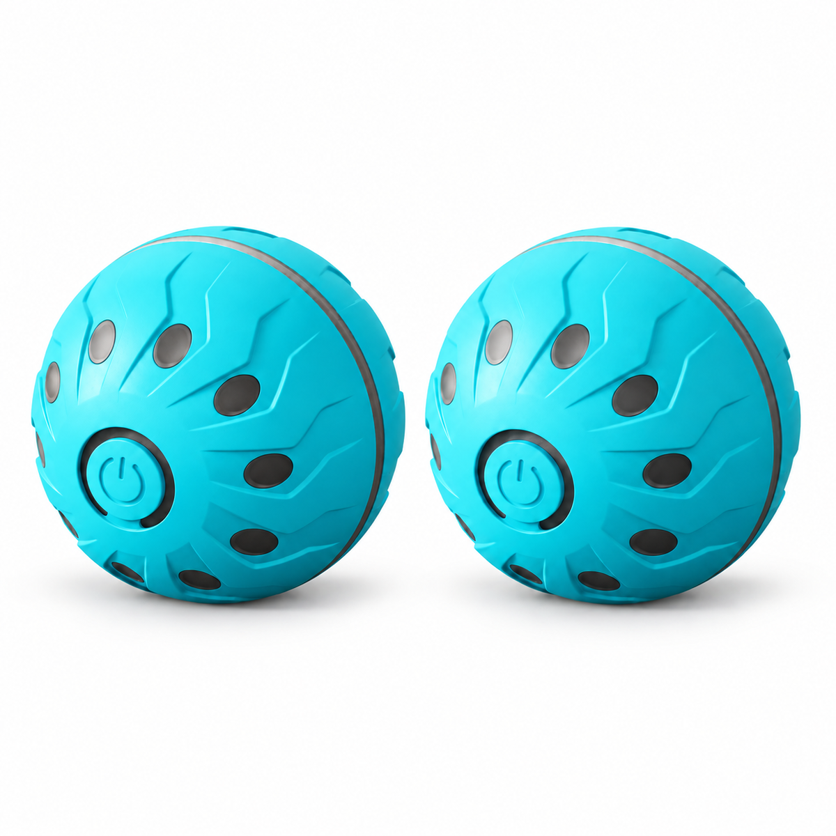 2 Pack Interactive Light-Up Dog Ball Toys