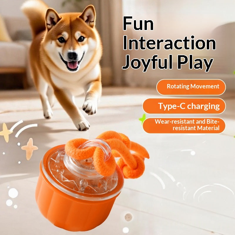 Indoor Automatic Dog Ball Puzzle Toy