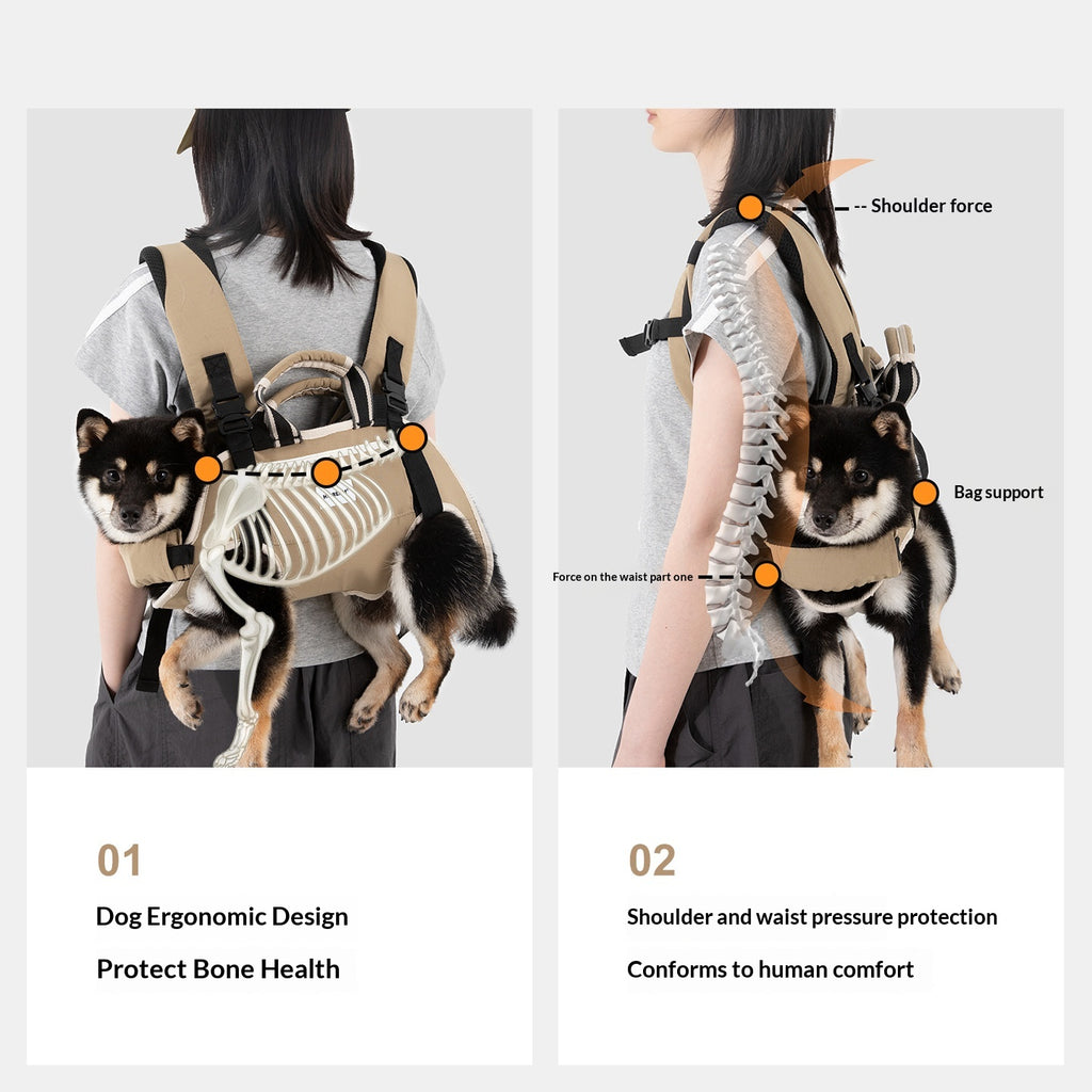 Outing Bag for Small to Medium Dogs