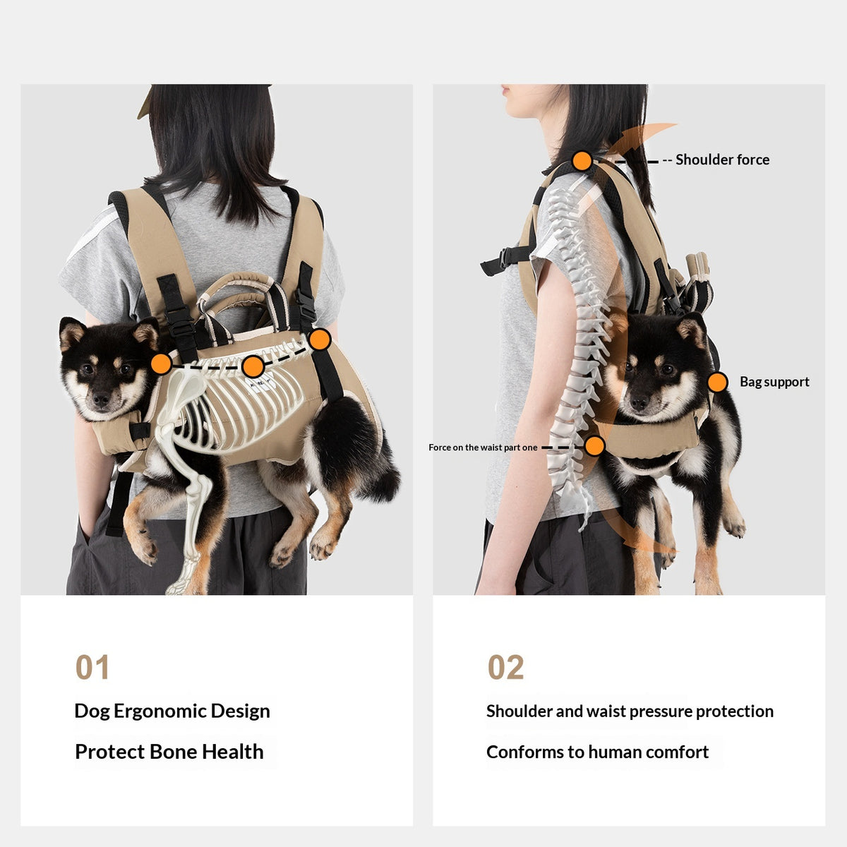 Outing Bag For Carrying Dogssmall To Medium-Sized Breeds