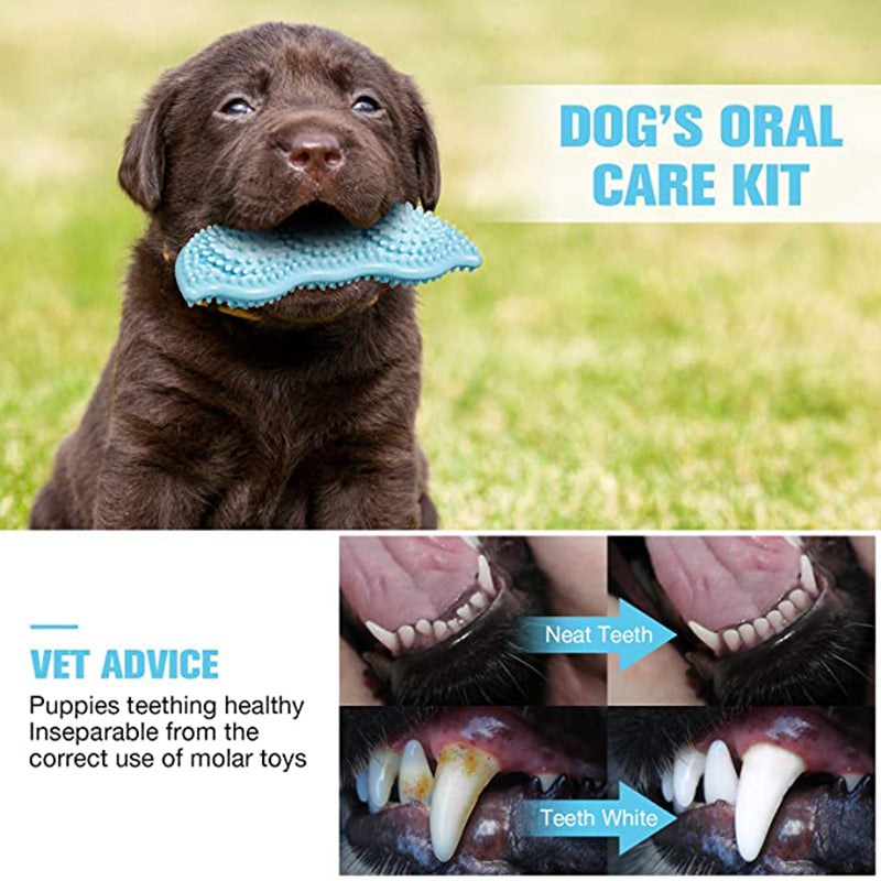 Bite-Resistant Dog Chew Toy Stick