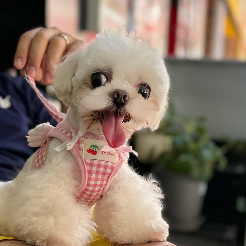 Small Dog Chest-Back With Hand-Holding Rope