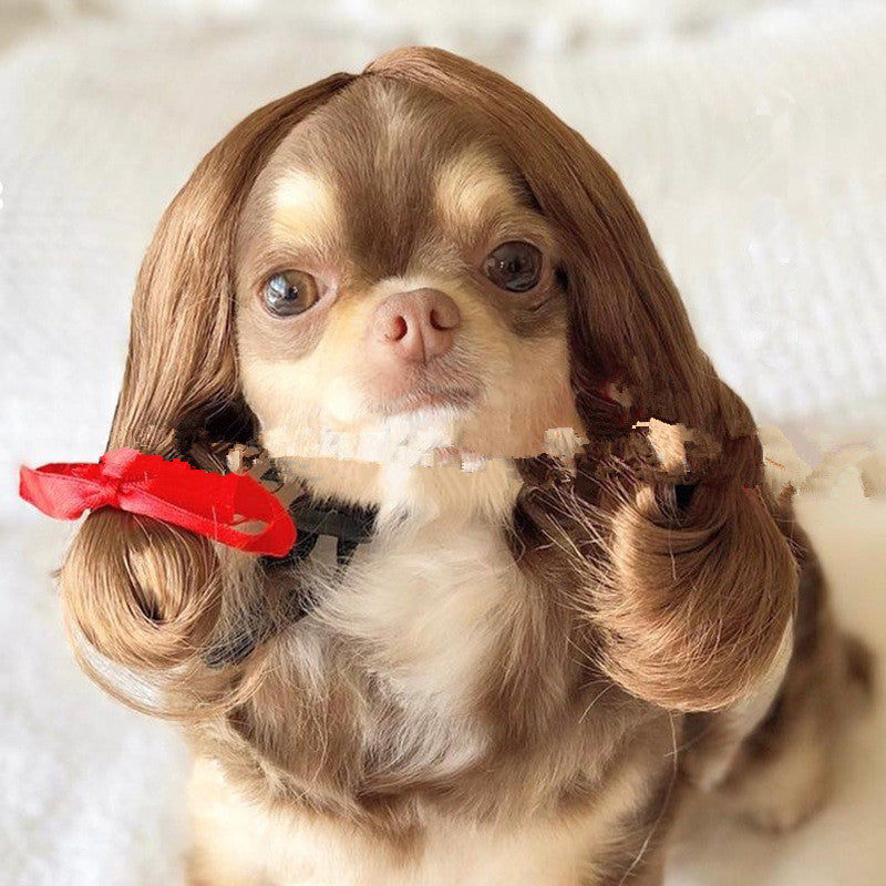 Dog Afro Wig With Bangs And Pigtail