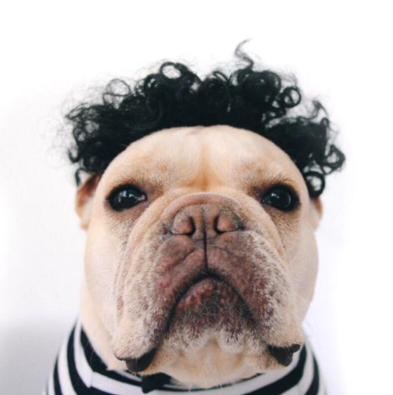 Creative Funny Dog Wig Headgear