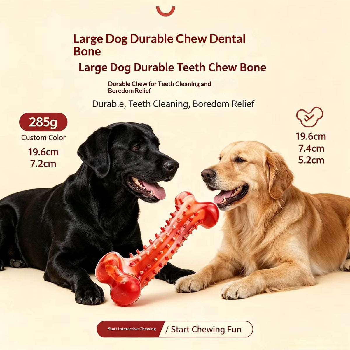 Large Rubber Toothbrush Bone Chew Toy