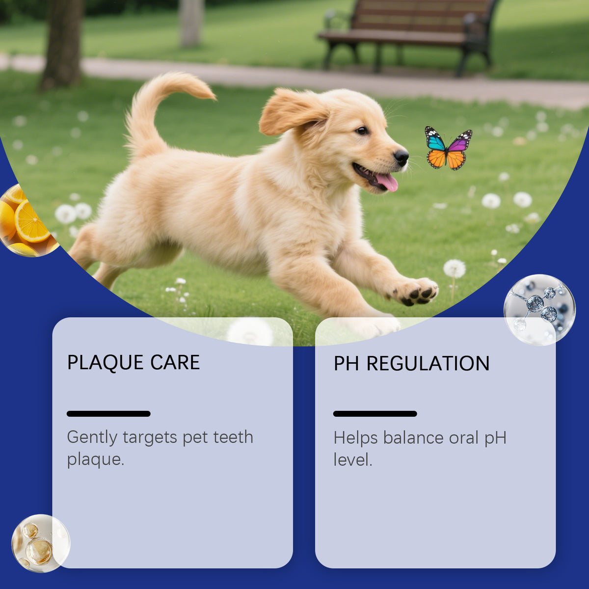 Pet Teeth Cleaning Powder