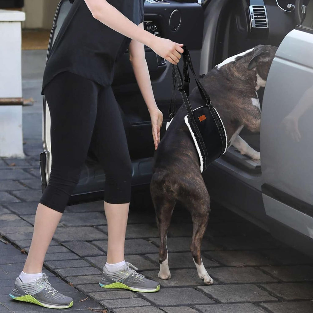 Portable Dog Sling For Hind Legs And Buttocks To Help Lift The Back For Canine Assisted Old Cruciate Ligament Rehabilitation