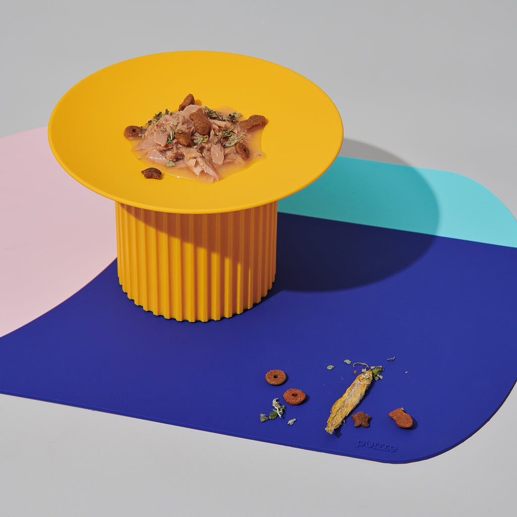 Interdental Party Pet Placemats Spill-Proof And Waterproof