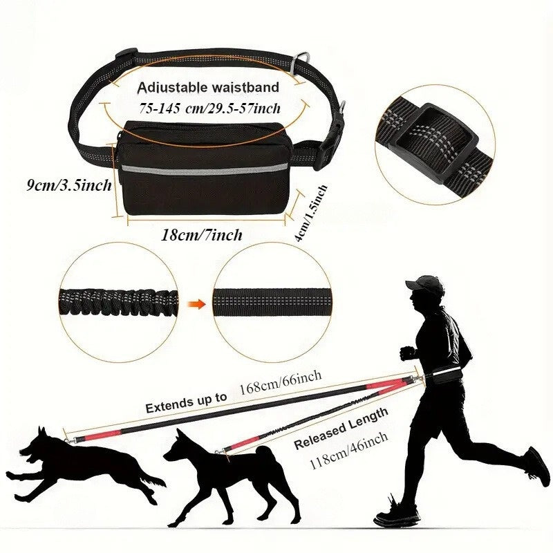 Nylon Waist Bag and Running Leash