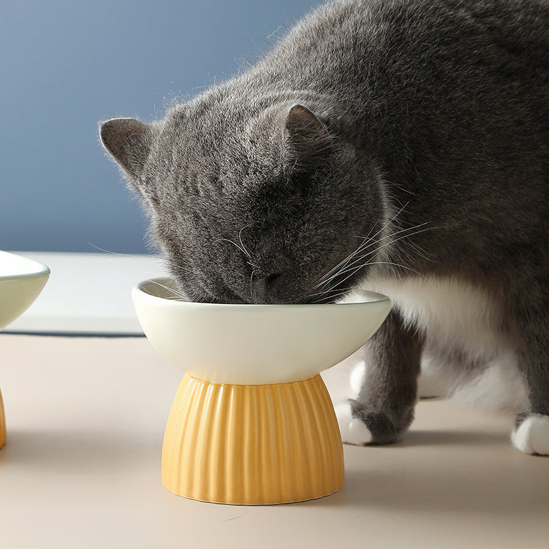 Ceramic Protection Cervical Vertebra Pet Bowl With High Vertical Pattern