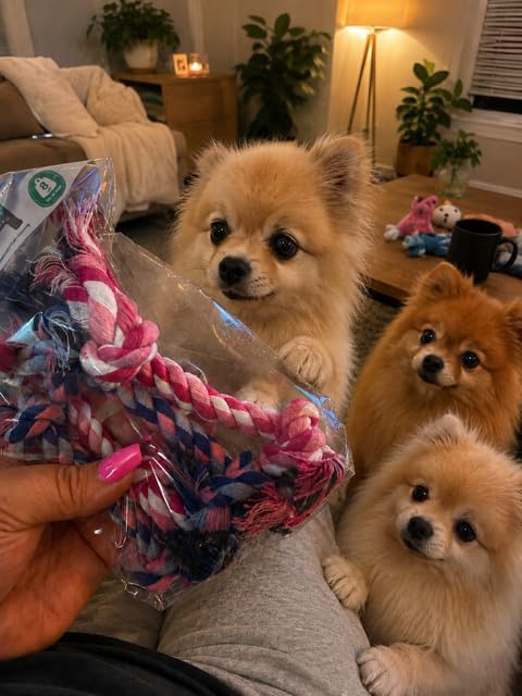 Four-Pack Mini Rope Chew Toys for Small Dogs