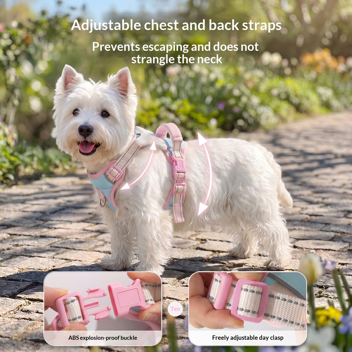 Angel Wings Vest-Style Dog Harness Leash