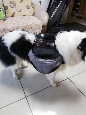 Pet Dog Backpack For Large Dogs With Adjustable Chest Circumference