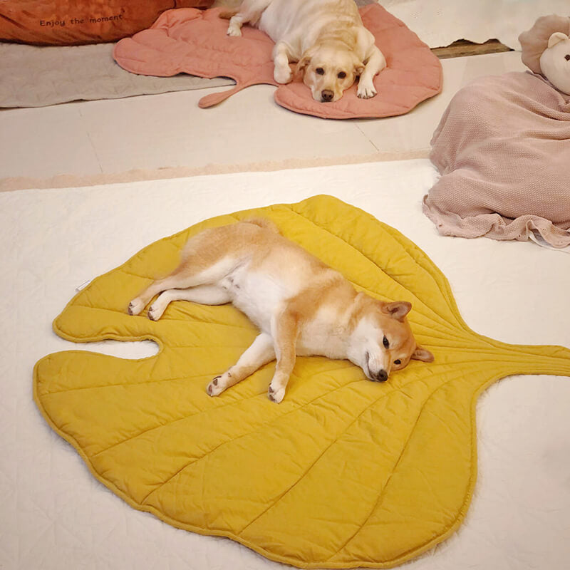 Universal Dog Mat for All Seasons