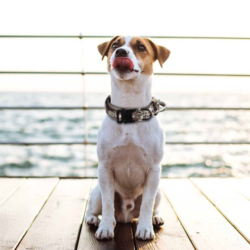 Adjustable Tactical Dog Collar
