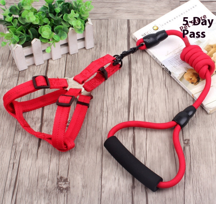 Dog Rope Collar and Chest Chain Set
