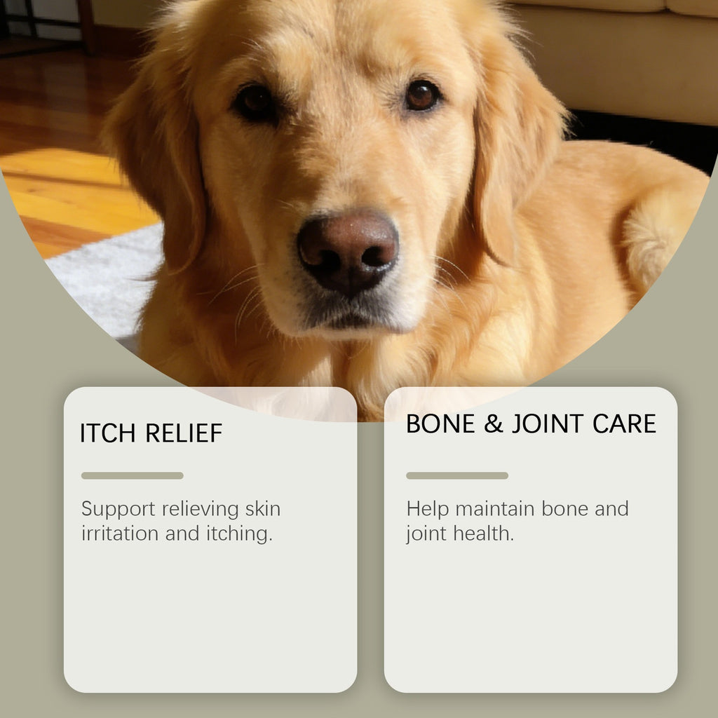 Dog Multivitamin Chewable Tablets Mild Formula