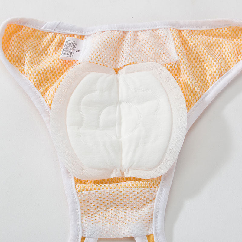 Dog Physical Pants With Protection Mat
