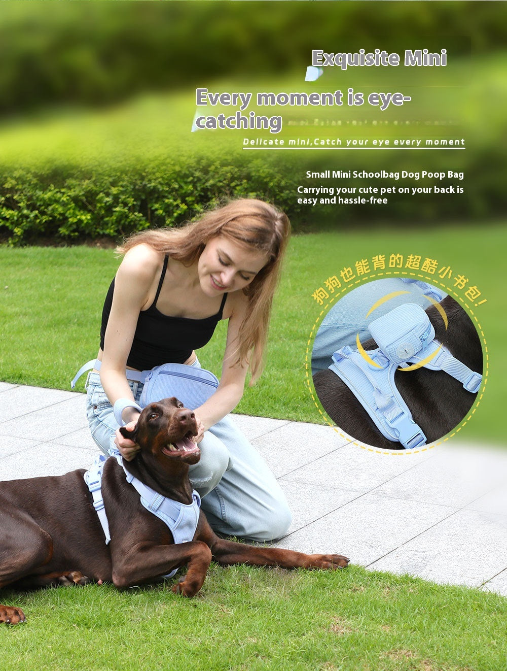 Hand Holding Rope Explosion-Proof Chest Back Suit Widened Pet Collar Mini Schoolbag Dog Stool Bag