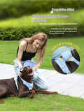 Hand Holding Rope Explosion-Proof Chest Back Suit Widened Pet Collar Mini Schoolbag Dog Stool Bag