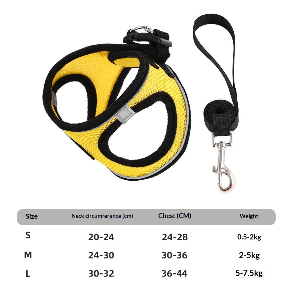 Vest-Style Mesh Harness and Leash Set