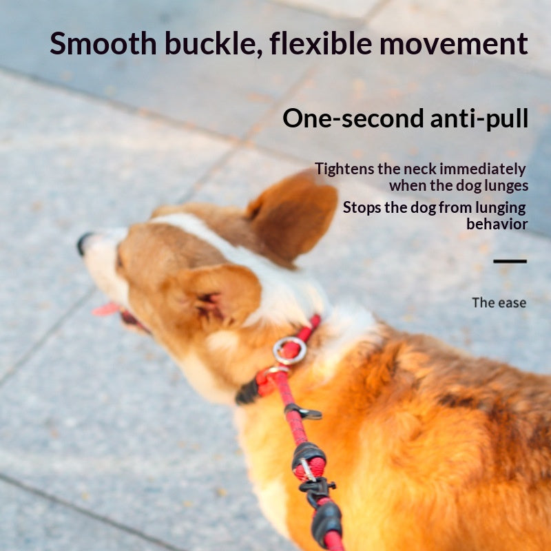 Dog Collar P-Chain P-Leash Training Leash