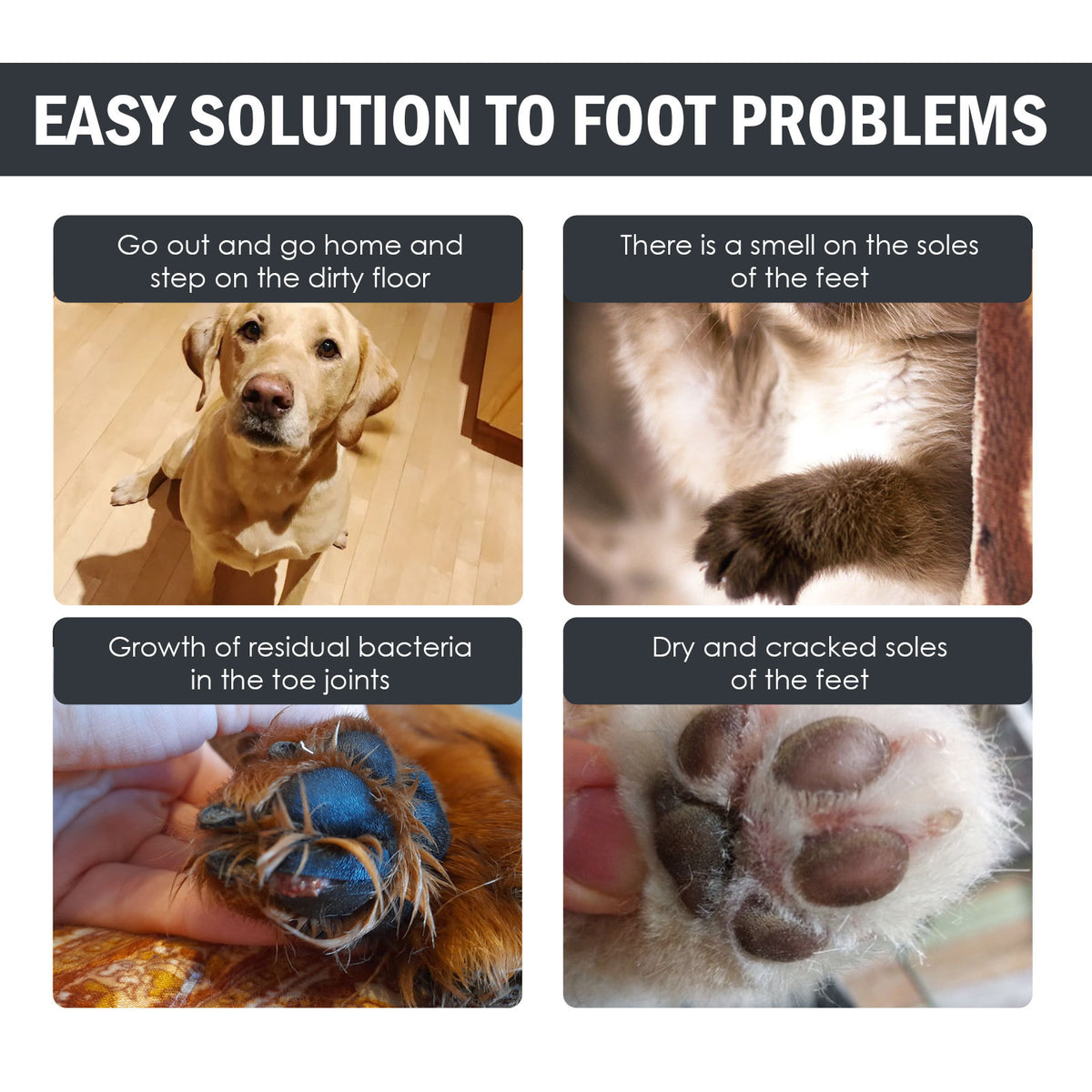 Dog Sole Care Solution