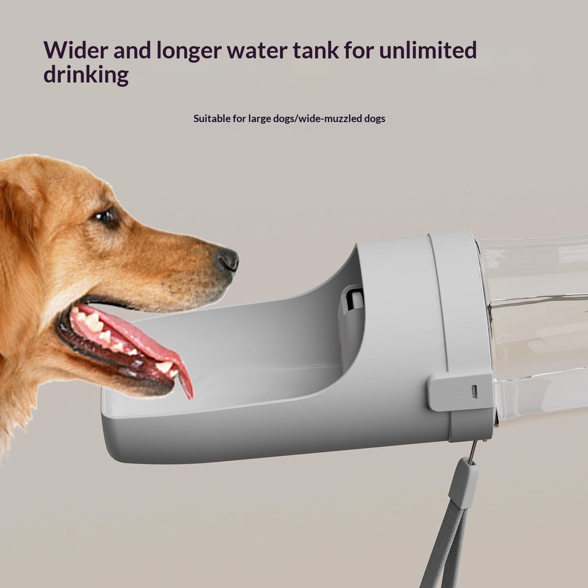 Outdoor Dog Water And Food Bottle