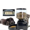 Three-Meal Timed Automatic Pet Feeder