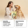 Bovine Colostrum Daily Nutritional Supplement for Dogs