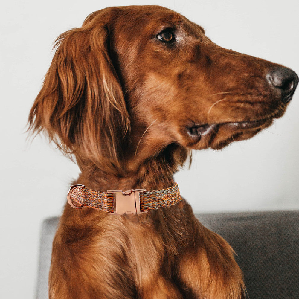 Faux Linen Metal Buckle Collar And Leash