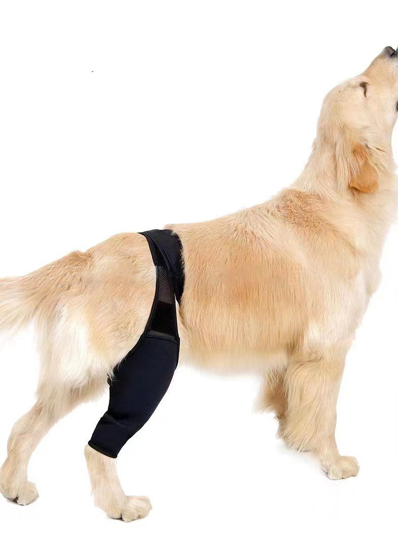 Dog Leg Support Protector, Front And Rear Leg Adjustment, Fixed Strap, Knee Brace For Injuries, Leg Protector For Dogs
