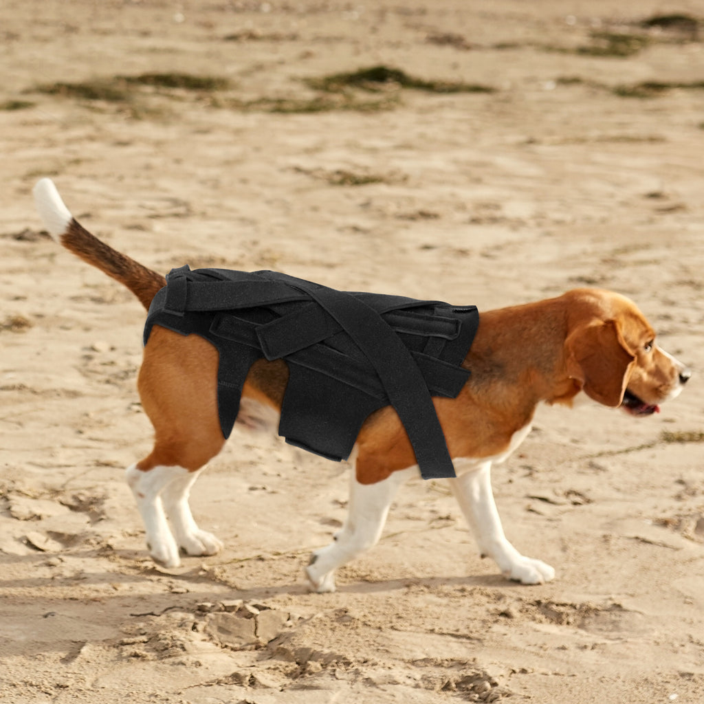 Dog Back Support Vest