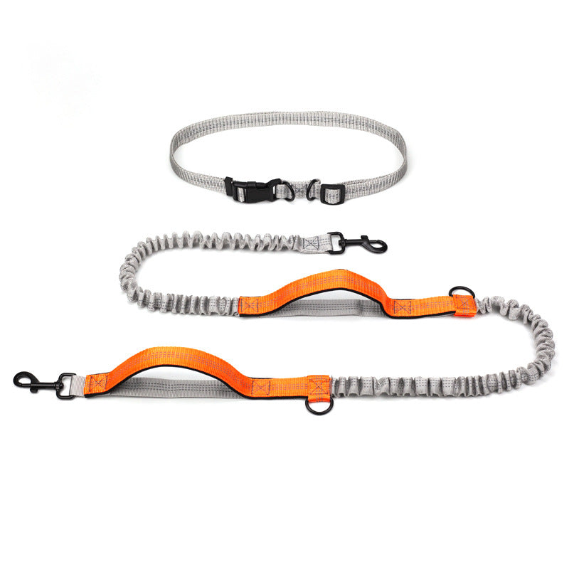 Reflective Double Telescopic Running Dog Leash
