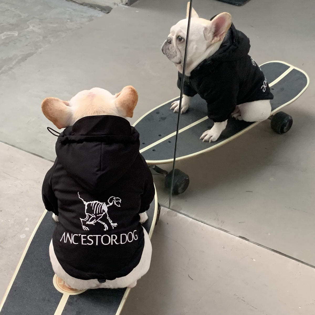 Autumn Winter Thickened Cotton Dog Clothes