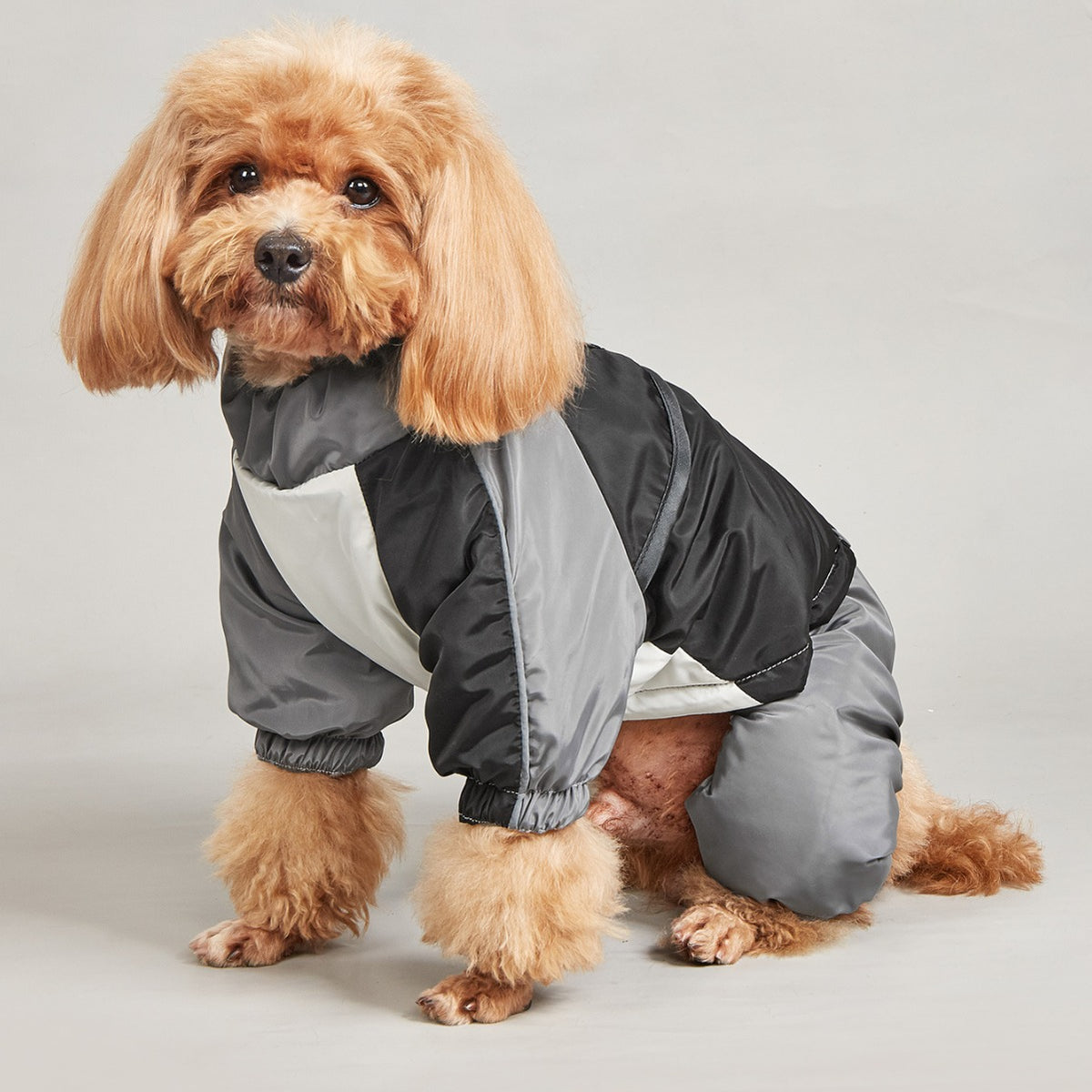 Warm Winter Cotton-Padded Large Dog Clothes