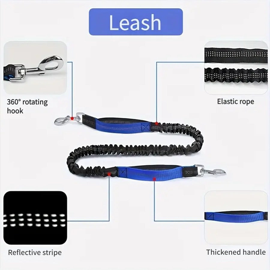 Nylon Waist Bag and Running Leash