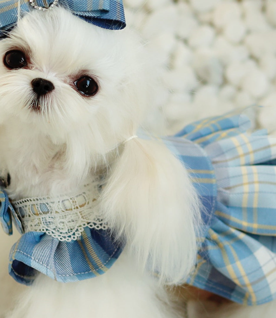 Small Body Blue Jk Plaid College Style Cute Suspender Skirt