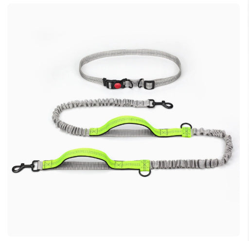 Outdoor Running Dog Leash