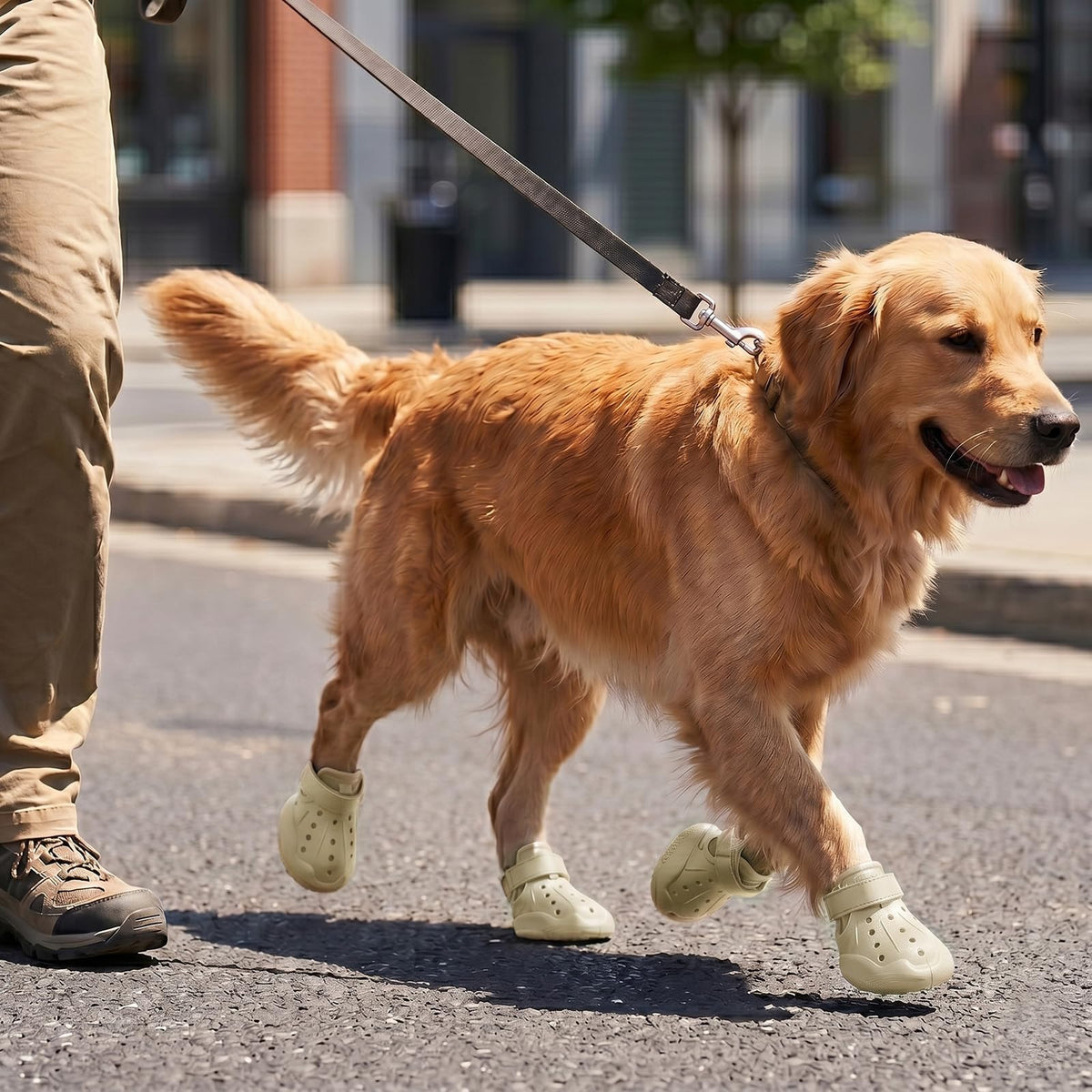 Breathable Waterproof Dog Shoes