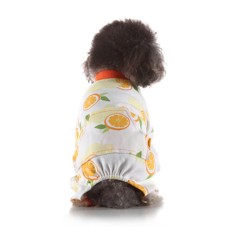 Autumn Winter Indoor Dog Clothes