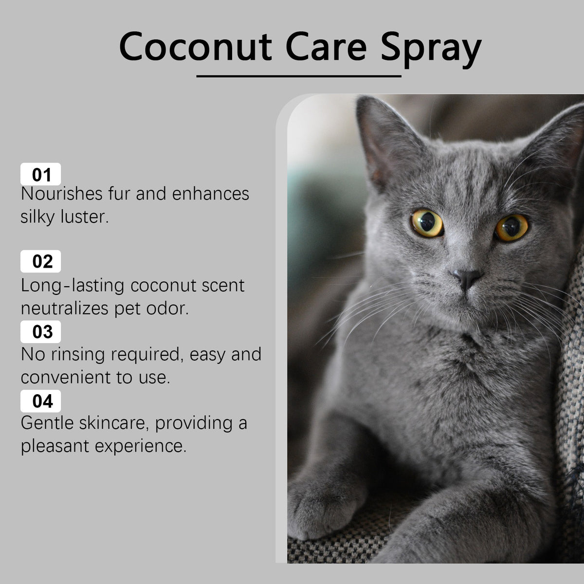 No-Rinse Grooming Spray For Dogs That Smooths Softens And Adds Shine To Their Coat