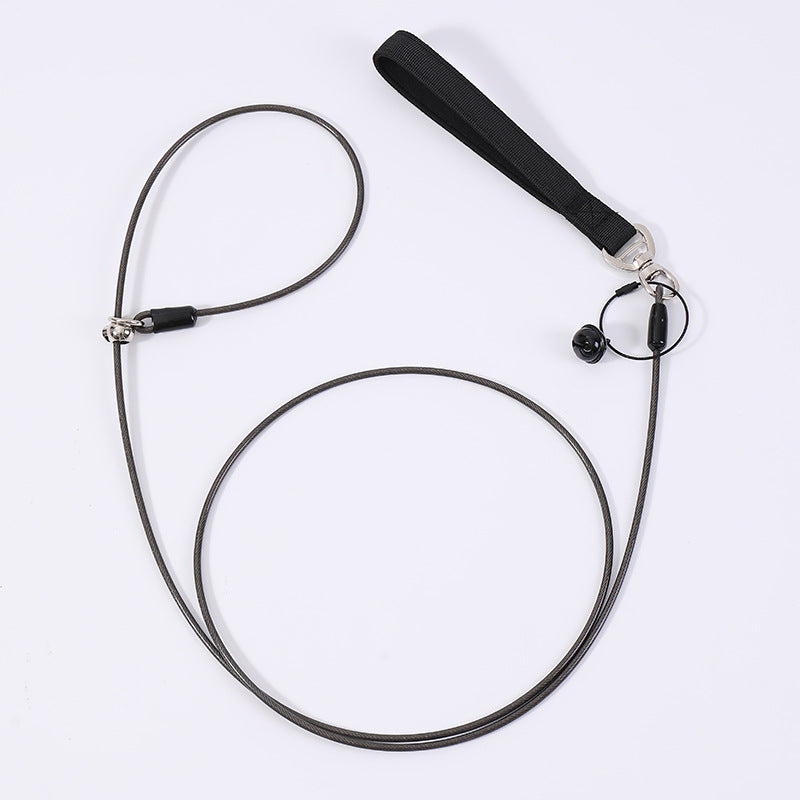 Pet Leash And Collar Dog Walking Leash