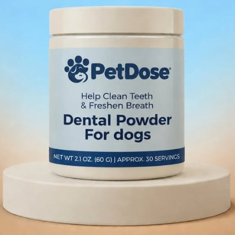Dog Chew Toy For Chewing