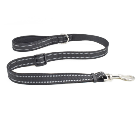 Nylon Retractable Dog Leash
