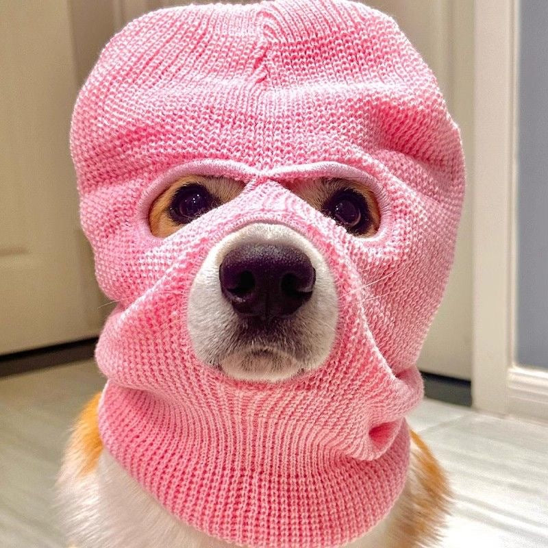 Corgi Puppy Dog Headgear Hat