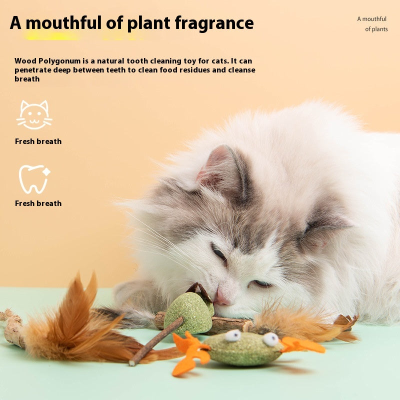 Polygonum Multiflorum Catnip Self-Hi Toy