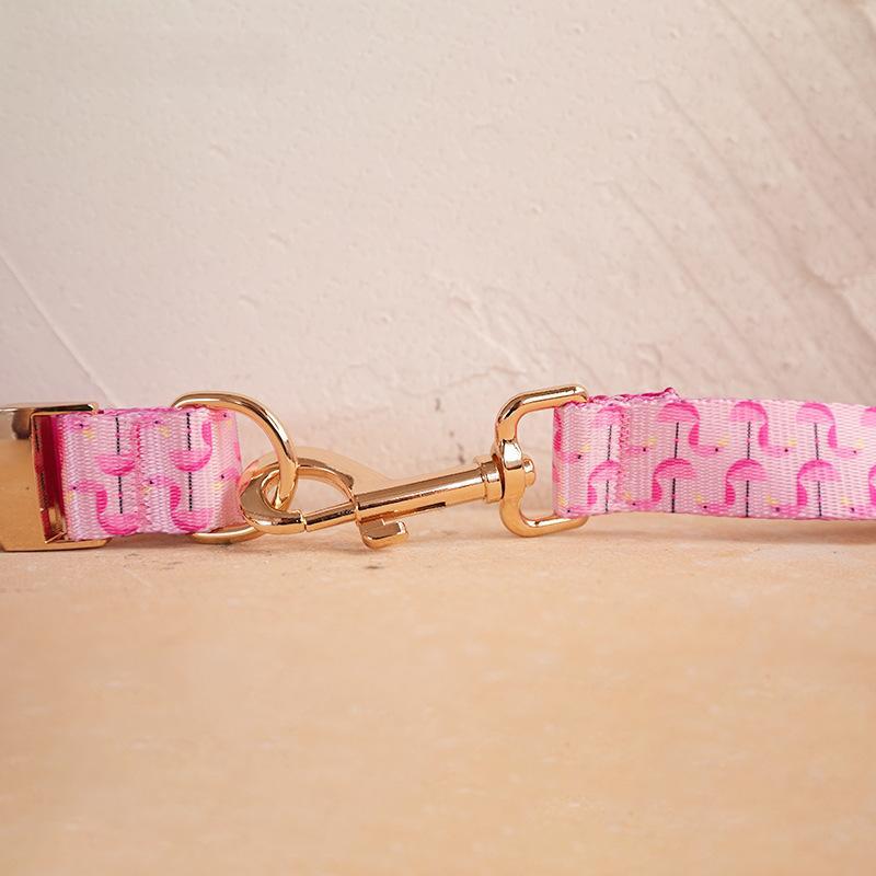 Self-Designed Soft Dog Collar And Leash Set