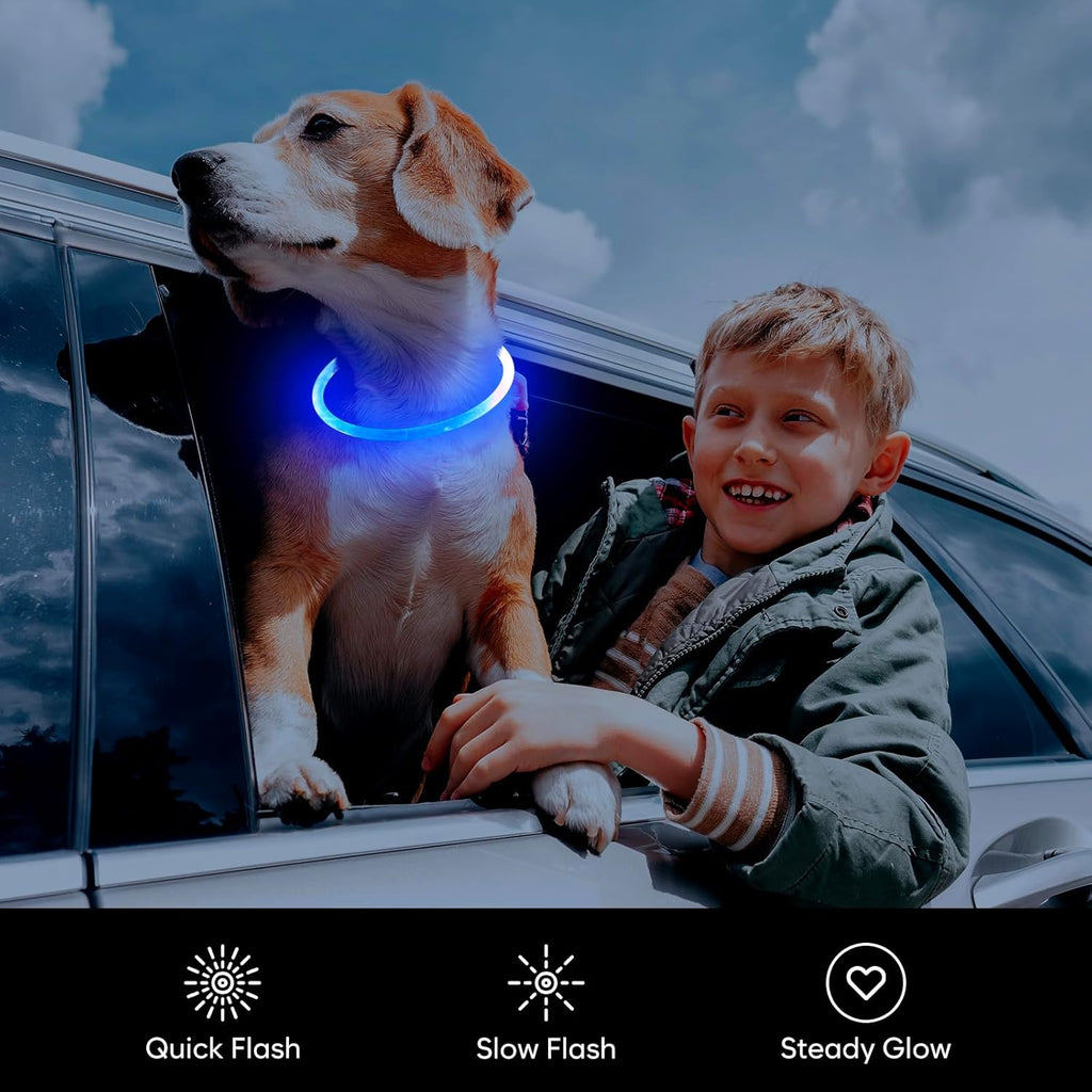 USB Rechargeable LED Dog Collar